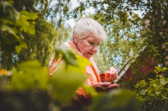 An old woman in the forest putting something into her palm.