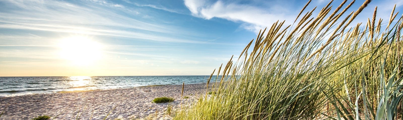 The Beach — Adobe Stock, Licensed