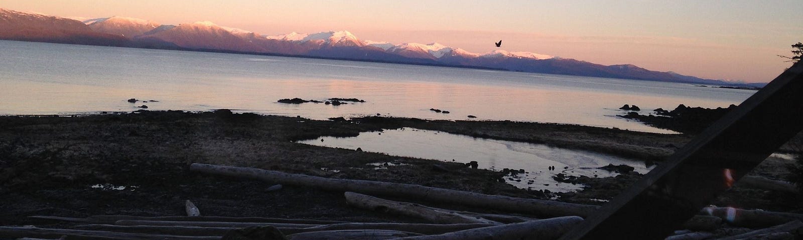A view of the beach in a bay with mountains in the background. Coffman Cove, Alaska