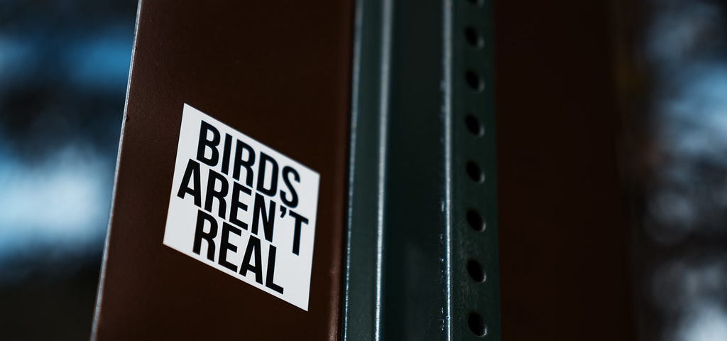 Photo of a Birds Aren’t Real sticker on the back of a street sign.