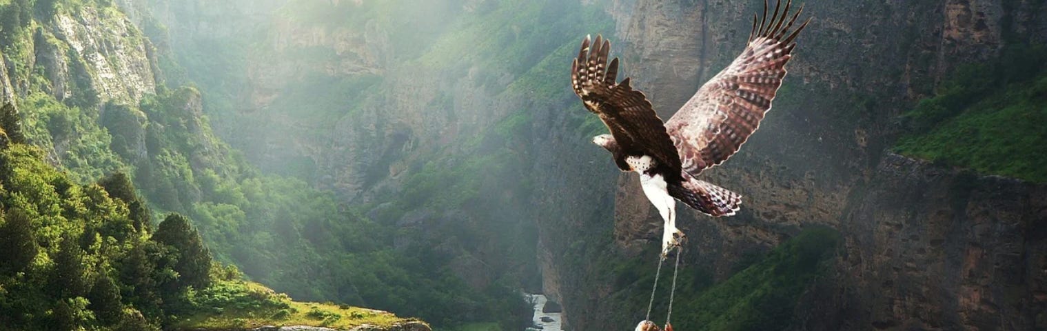 A young girl surveying the lay of the land, valley, river and mountain, from her seat on a swing, the swing’s chains held in the claws of an eagle as it flies through the skies.