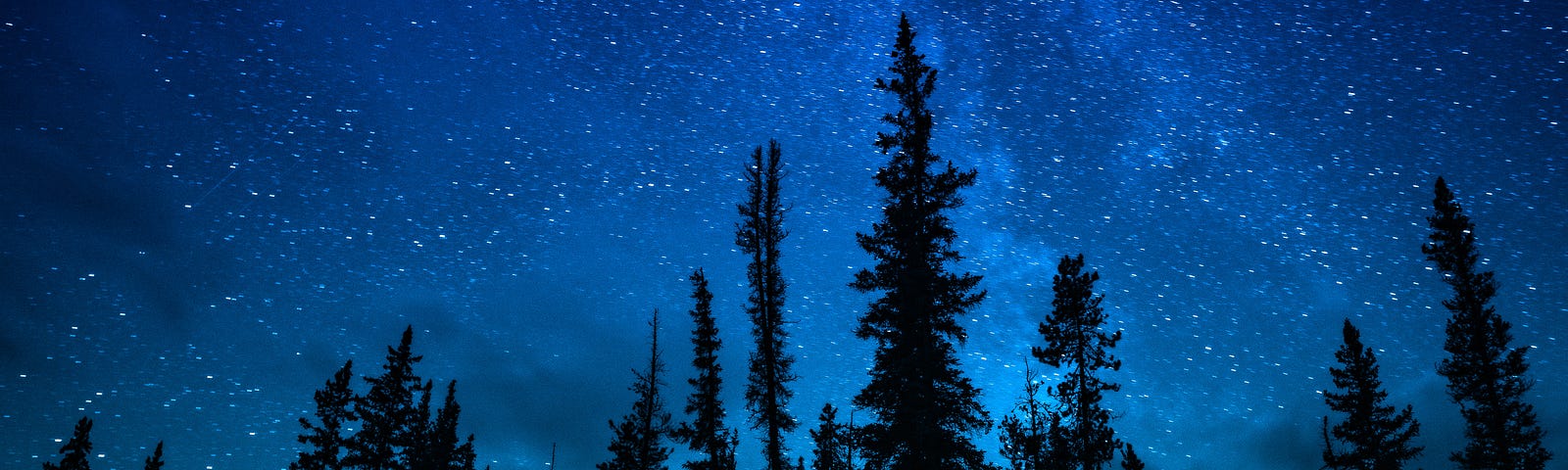 Blue night sky filled with stars and the Milky Way over pine tree silhouettes.