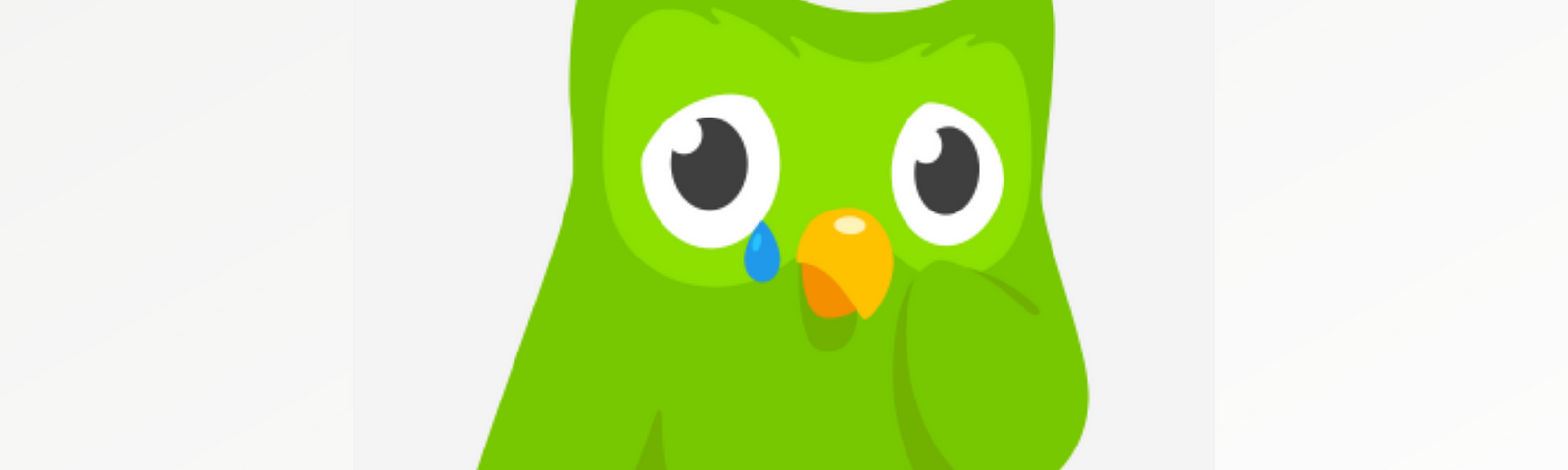 Improve The Way You Learn a Language With Duolingo