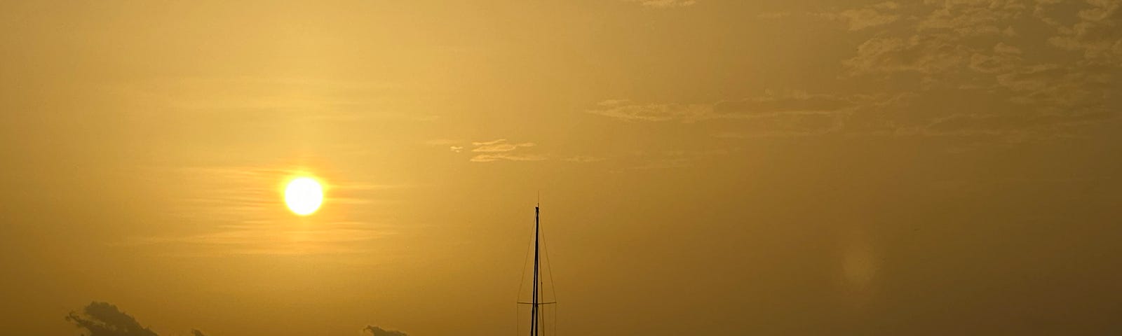 costa rica palm trees beach sunset