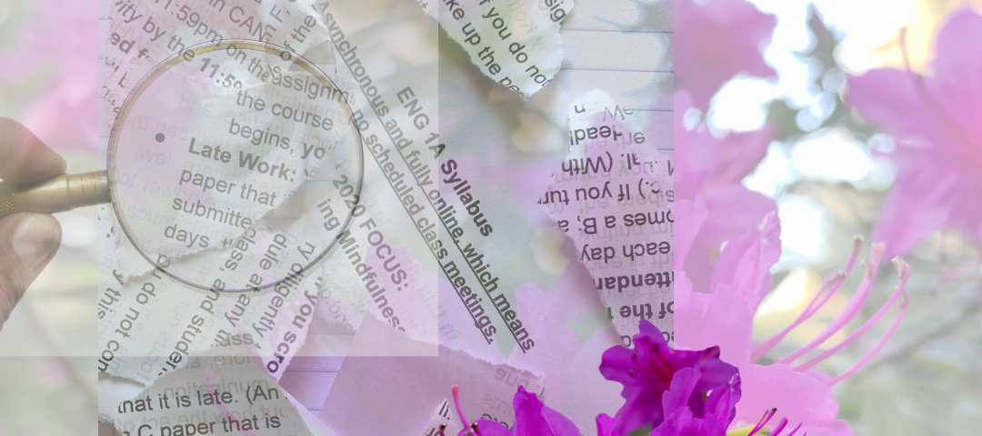 digital collage of writer’s former late work policy ripped up and looked at through a magnifying glass, with purple-pink flowers to suggest softness, compassion, and growth