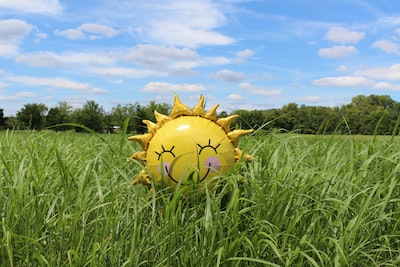 a smiley-face sun-shaped balloon sits in a green field on a bright blue sky day