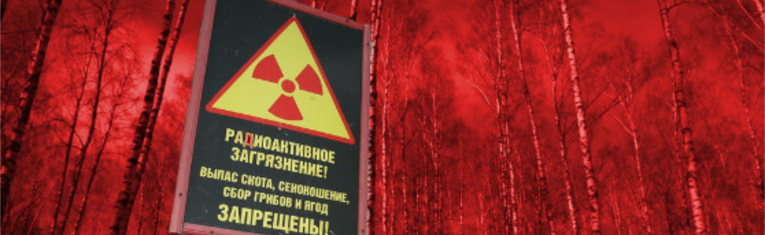 The Red Forest near Chernobyl, Ukraine