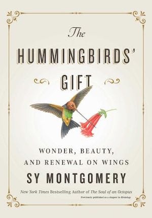 The Hummingbirds’ Gift: Wonder, Beauty, and Renewal on Wings, by Sy Montgomery