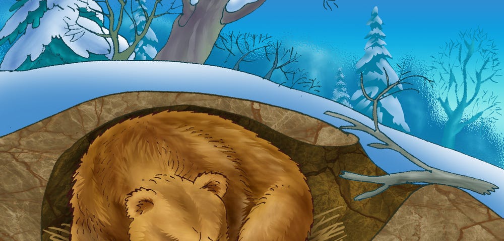 Illustration of a bear hibernating in its den