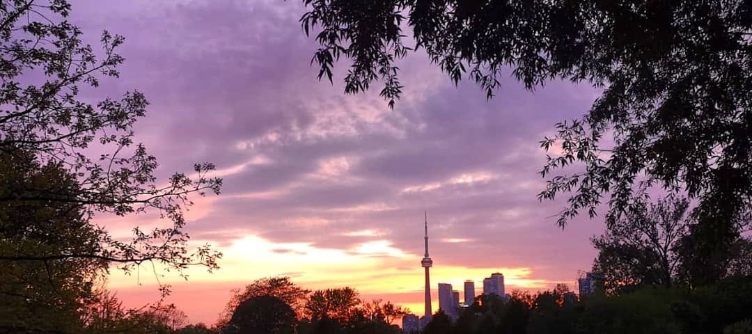 Toronto skyline at sunset, seen across a grassy field.
