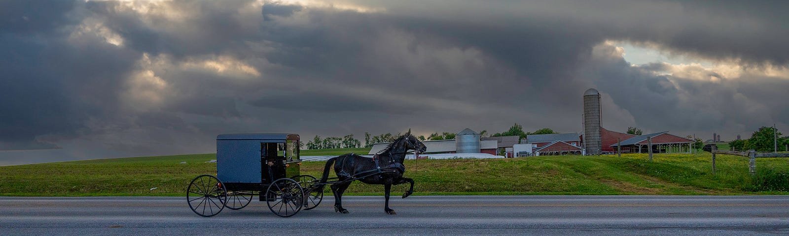 Photo of an Amish horse-driven buggy in Lancaster, PA.