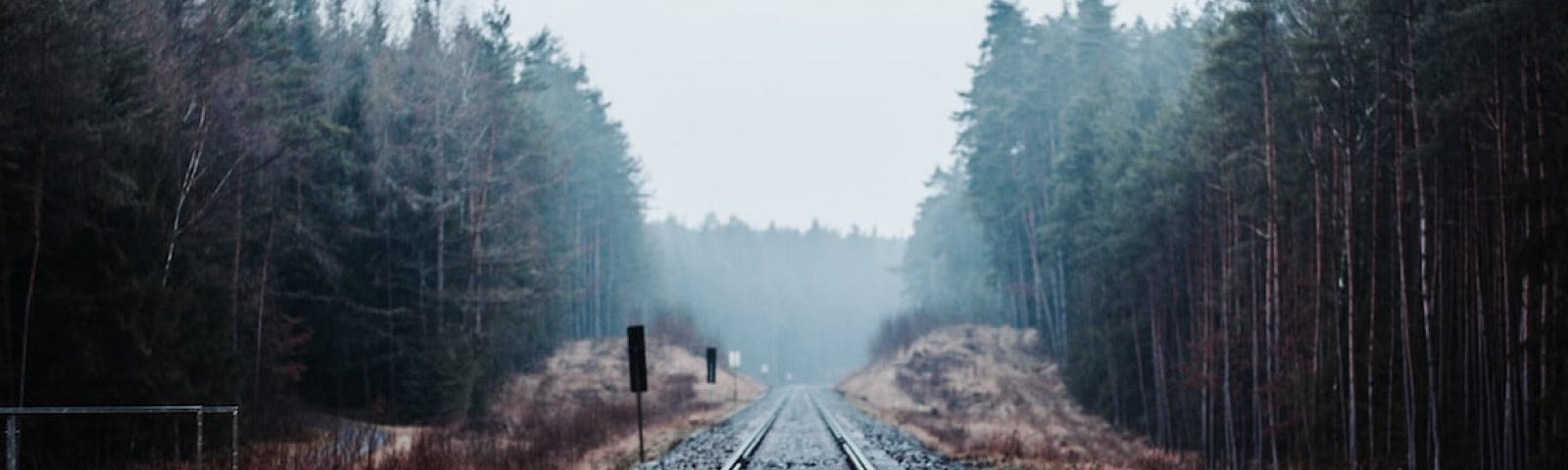 Railroad tracks disappear into the distance in a misty forest.