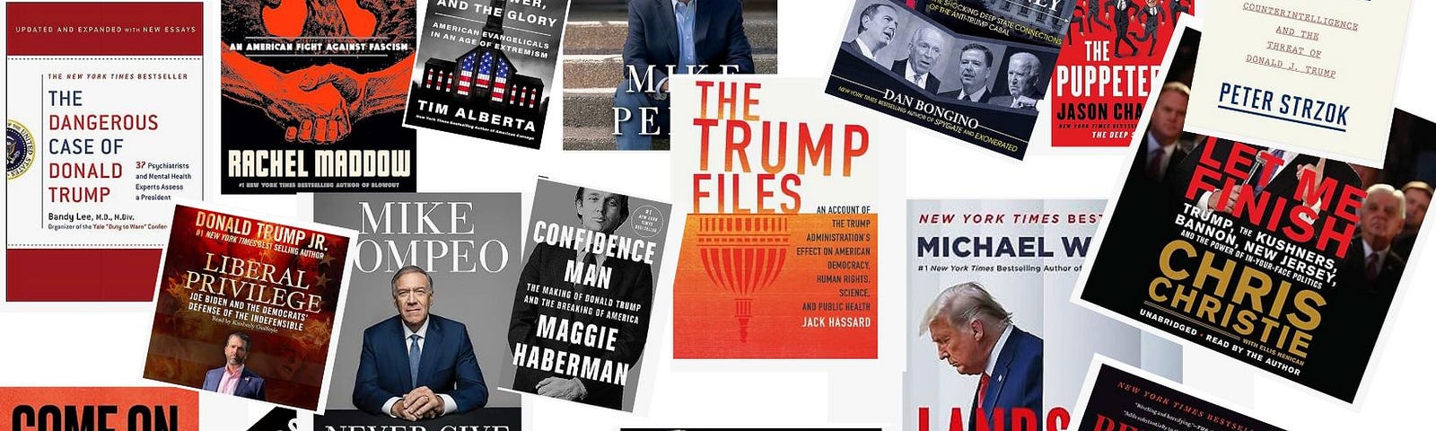 Political books, political insiders and journalists books about Trump and Biden administrations and politics in the US. Book covers are in the photo.