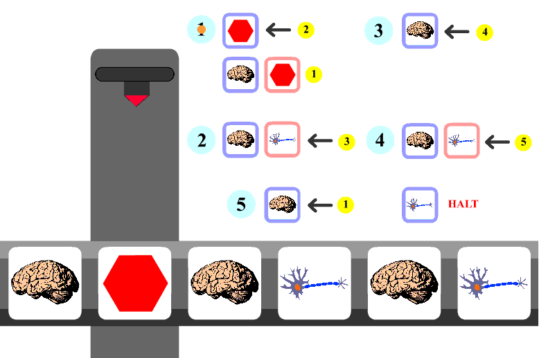 An example of a Turing Machine performing its operations guided by a set of symbols which indicate the instructions to follow.