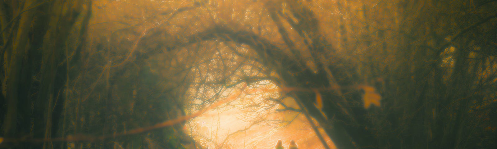 In a golden, glowing forest, two figures walk on a path. The photo is blurry.