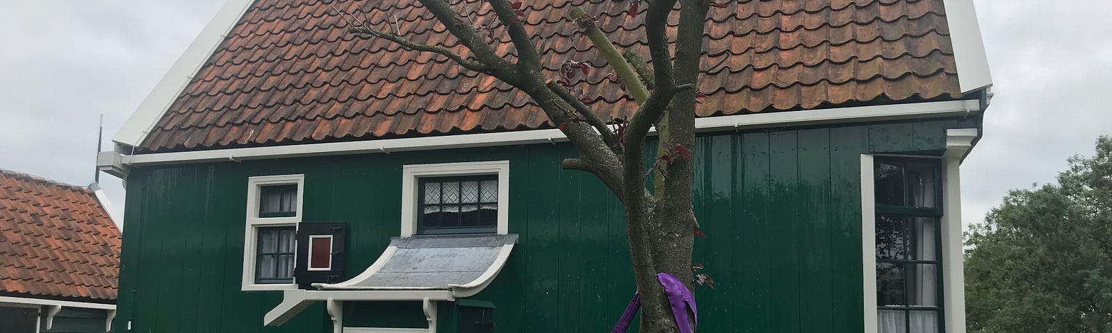 This is a photo of a Dutch house in the traditional Dutch village of Zaanse Schans. The house is green and has a tree in front of it. The roof is made of clay tiles and the entry way has a curved roof over it.