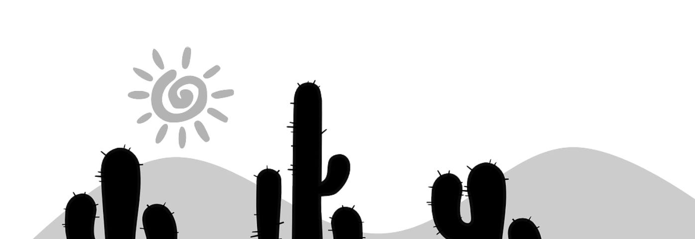An arid cacti garden.