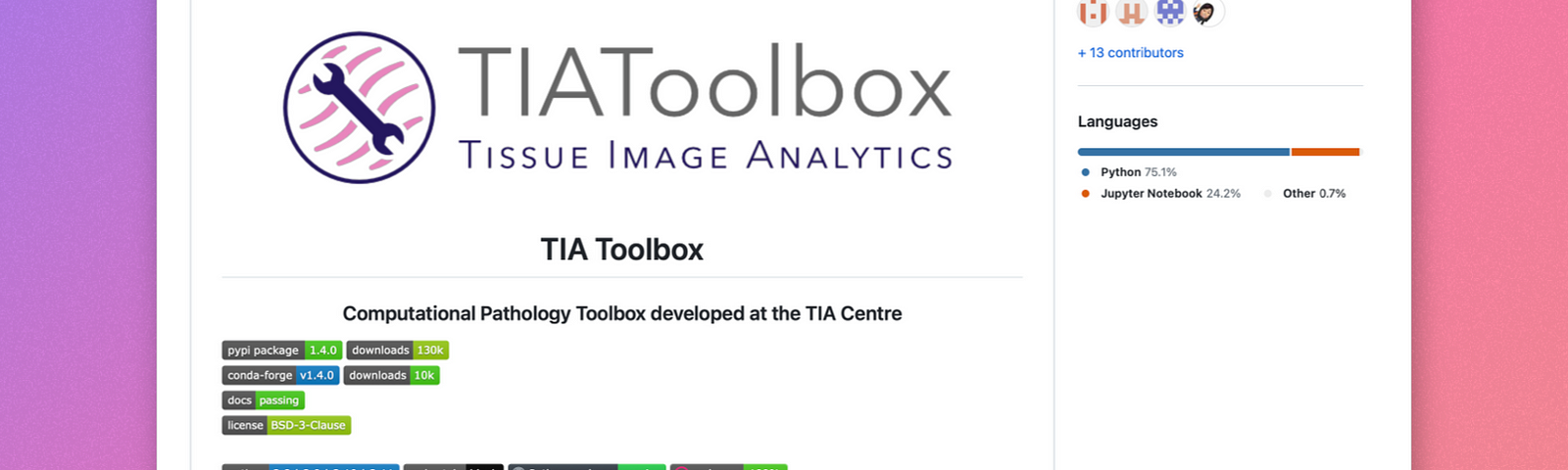 Screenshot of the TIA Toolbox Github repository web page.