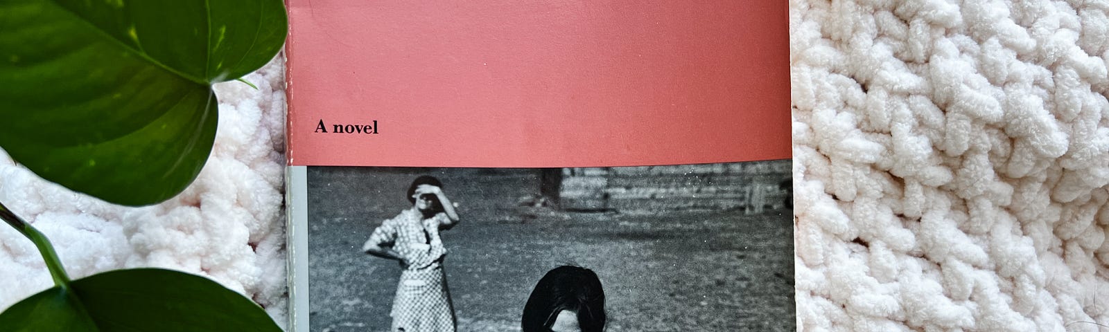 A paperback copy of Bastard out of Carolina by Dorothy Allison. The cover’s top half is pink and the bottom half has a black and white photo of a pre-teen girl with her hands gripping a barbed wire fence. A woman stands behind looking at the girl and shielding her eyes from the sun.