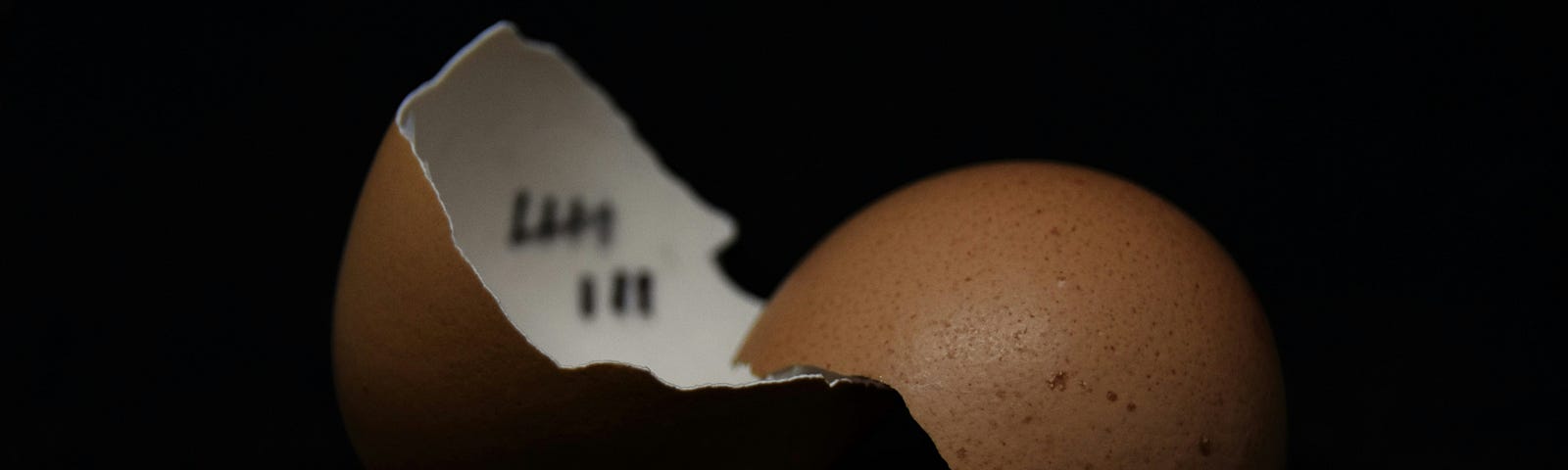 A broken egg shell with tallies written on the inside