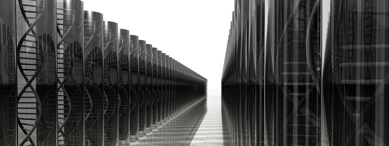 IMAGE: A large number of columns in black and white containing (figuratively) a lot of DNA records