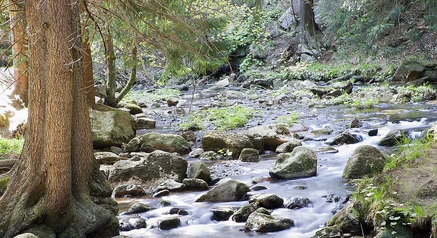 A babbling brook — free flowing with some white-water