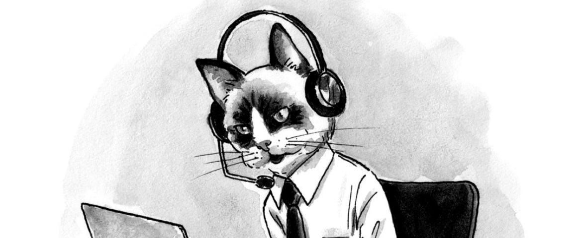 IT helpdesk cat in headphones seated at a desk with a laptop and cup of coffee.