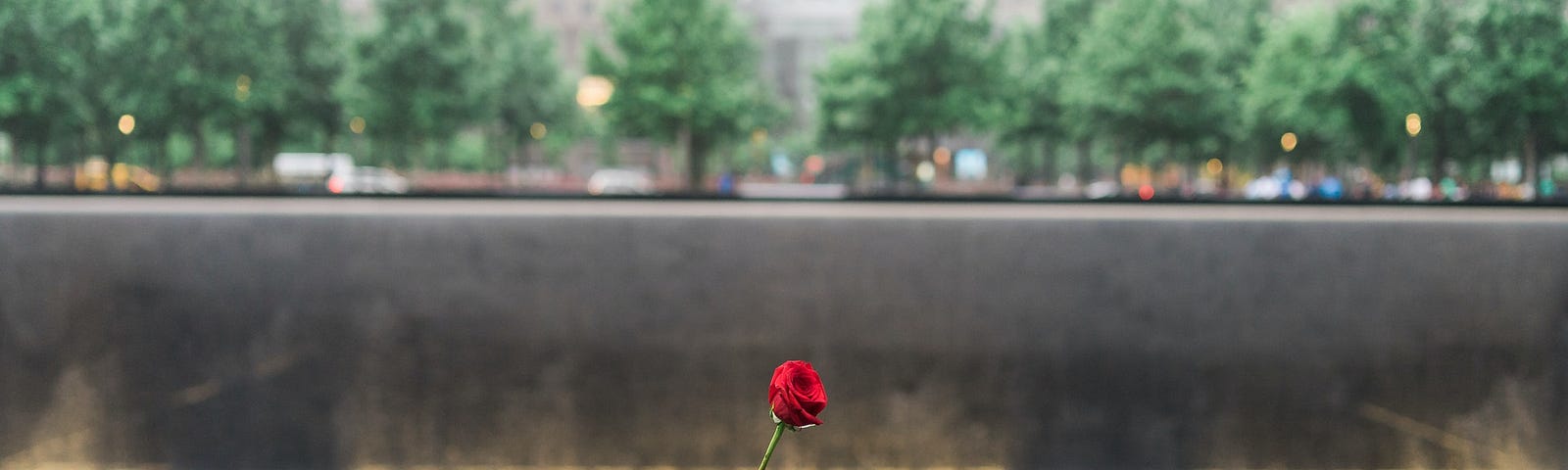 9/11 Memorial with names, 2996, September 11, never forget, World Trade Center, New York, Memorial, Casey Lane, caseylanewords, medium