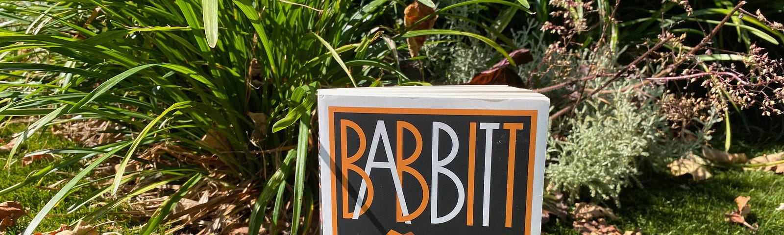 Babbit by Sinclair Lewis (Alma Classics Edition, 2022), photographed by author amongst garden foliage.