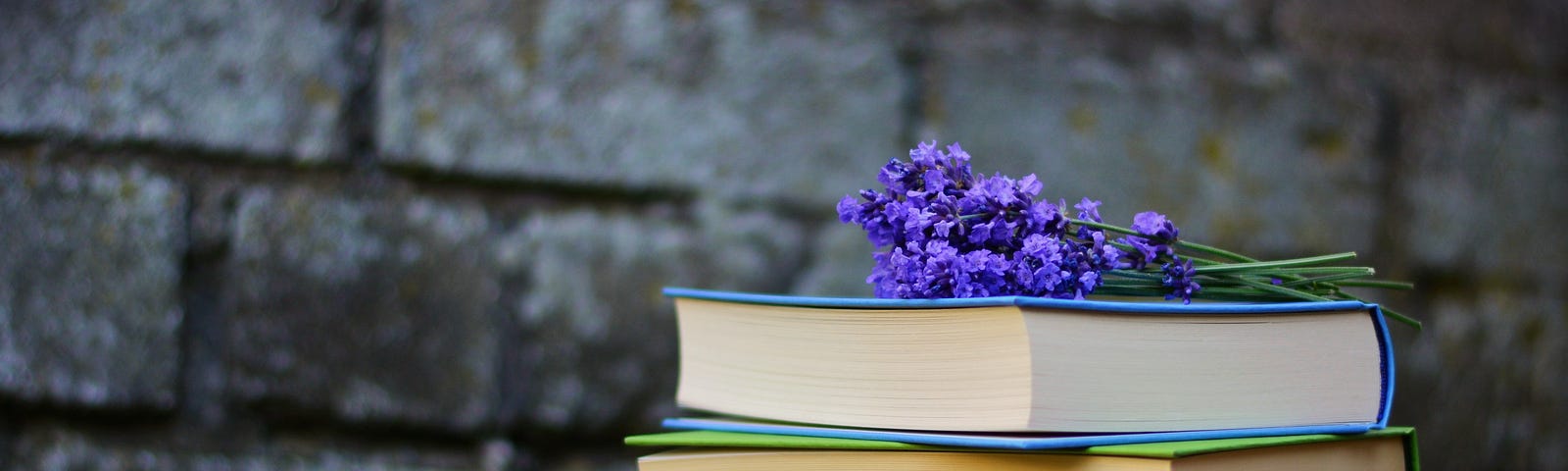 2 books sitting on stone with a blue flower on top.