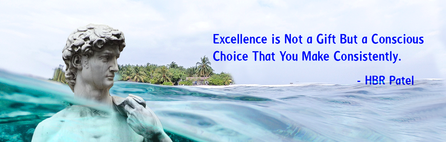 Quotes on Excellence HBR Patel