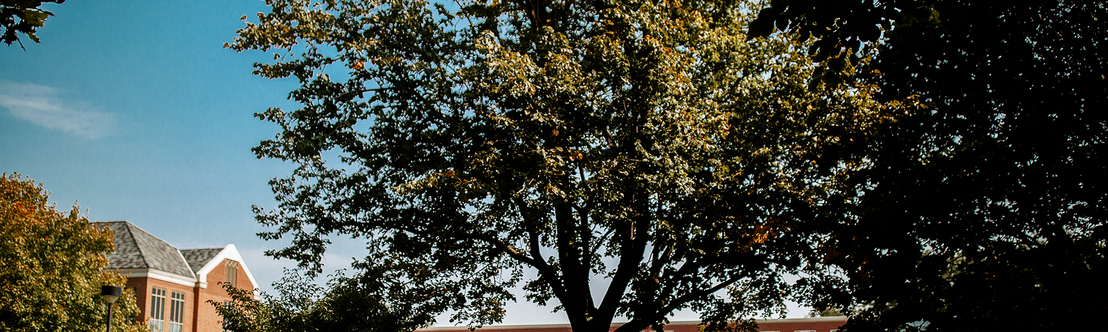 A student sits under a tree at a picnic table in the greenspace outside the Nebraska Union