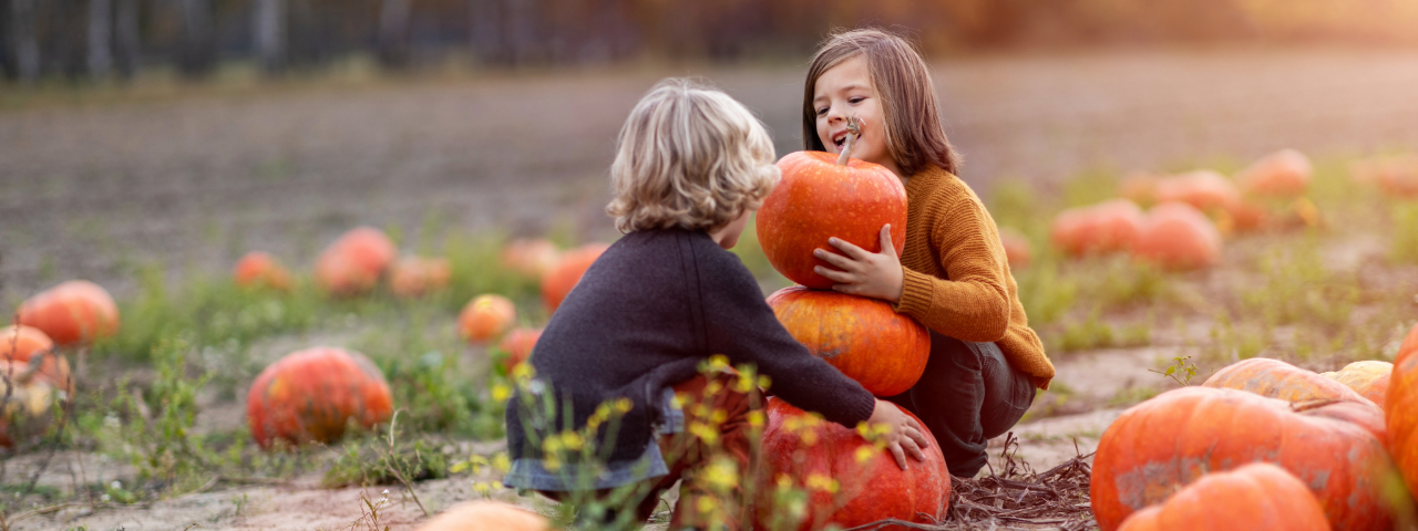 Kids playing at a pumpkin patch