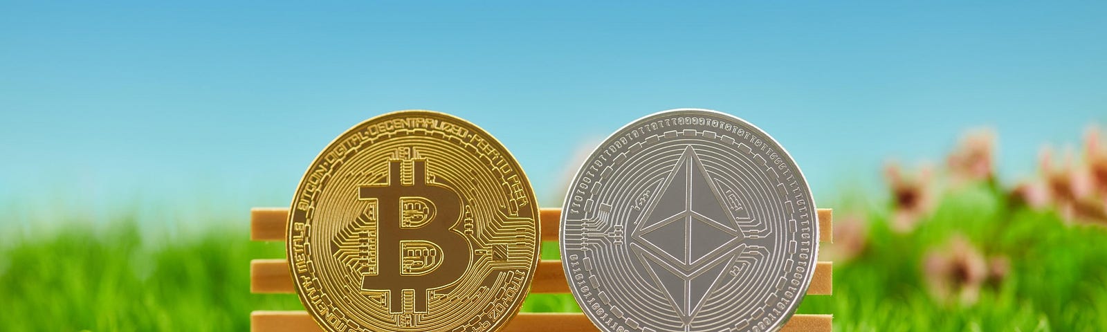 A physical Bitcoin and Ether coin on a park bench next to each surrounded by a field of grass