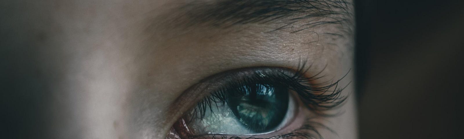 A close up of a single green eye in a freckled face. The background is black.