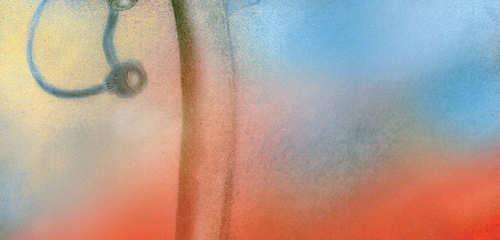 A painting of an Ostridge by Samarel