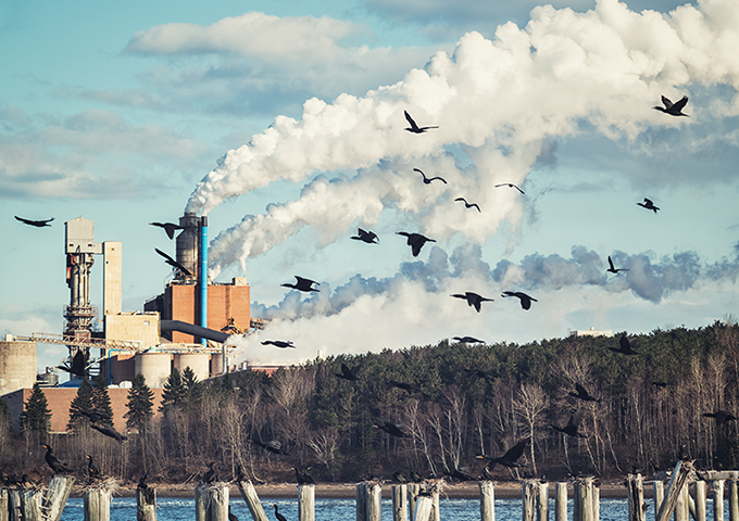 Birds flying over water in front of industrial smoke stacks spewing out smoke.