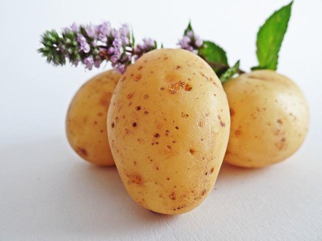 Raw potatoes, vegetables, and a sprig of mint herb