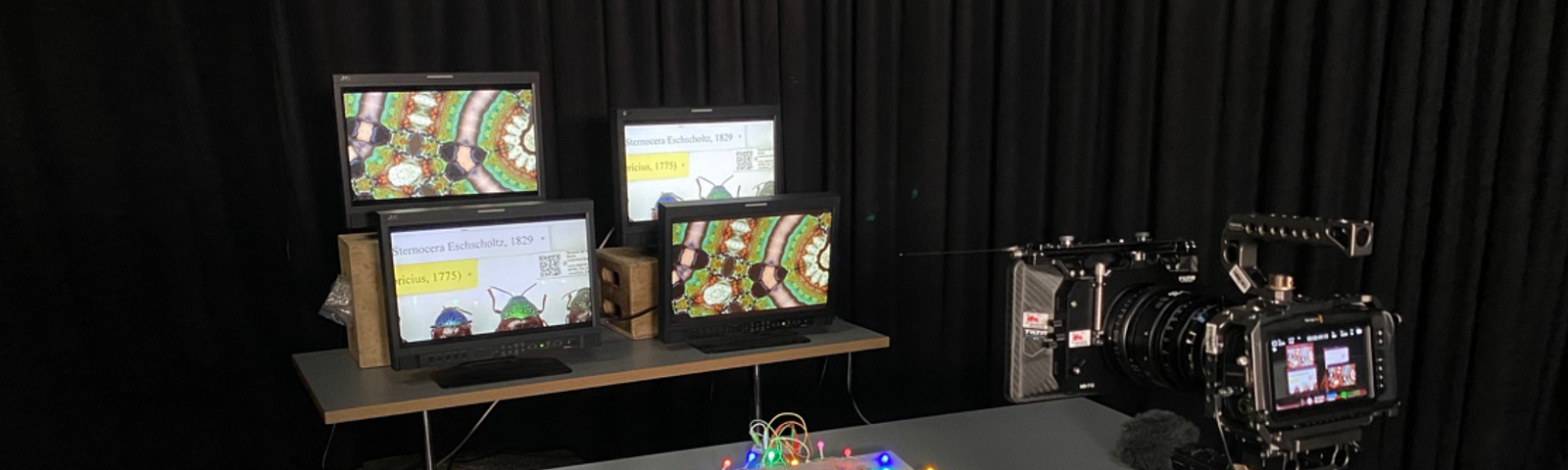 Four monitors placed on a plain table displaying the visual datasets from the MfN database. In front of the monitors there is another table with the user interface that allows the visuals and sounds to shift upon touch. Lights surround this interface for additional immersion. In the very front to the left there is a camera which filmed the user experience.