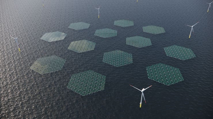 IMAGE: An array of huge hexagonal floating solar panels in the sea, along with a few offshore windmills