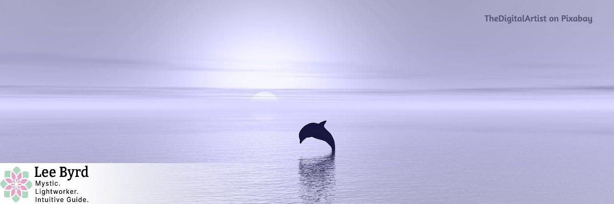 Dolphin playing. Image by TheDigitalArtist on Pixabay