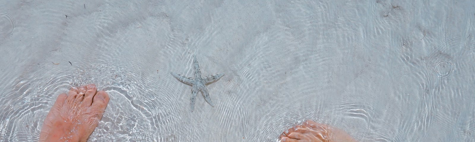 Feet of man and woman in shallow beach water with starfish between them on white sand.