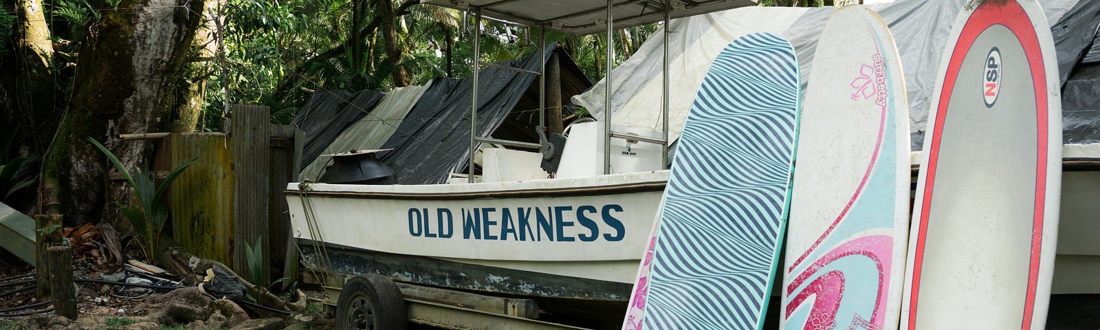 A rustic photo with four surfboards leaning against an old white boat with a high metal roof and ‘Old Weakness’ in blue letters on the side of the boat.The surfboards are multi-colour of blue, grey orange and pink. The background are old palm trees, grass and a rocky ground with some wood piles at the back of the boat.