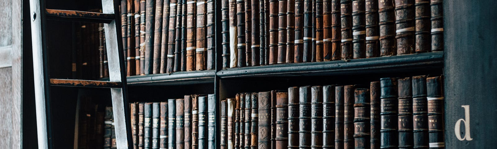 Shelves of books with a ladder to the far left of the image. The letters e and d in serif font appear on the the right hand side of the image.