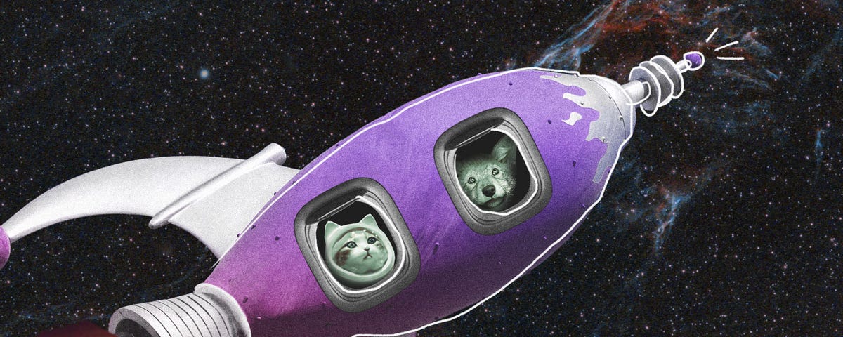 A wolf and a cat in a space helmet blast into outer space on a purple, retro-style rocket.