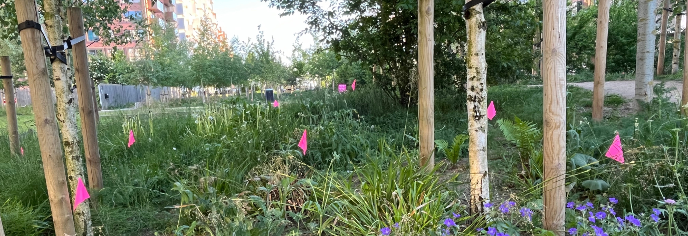 a garden with green grass, trees, flowers and pink flags
