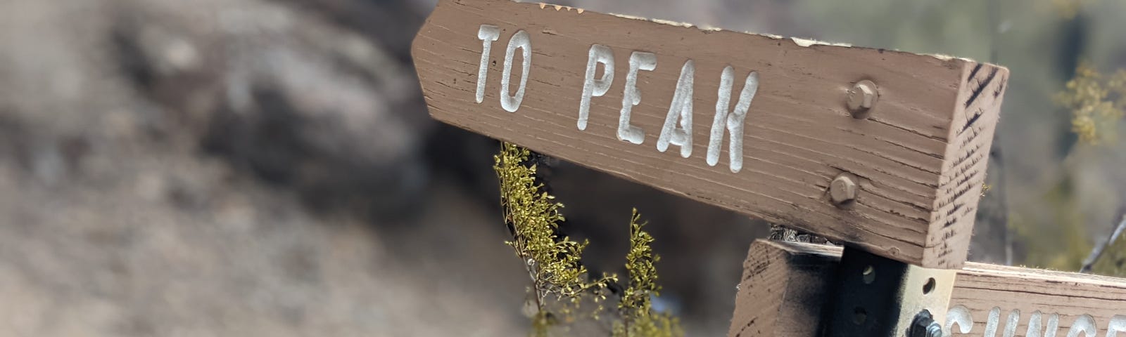 Trail sign reading “To peak” and pointing upwards