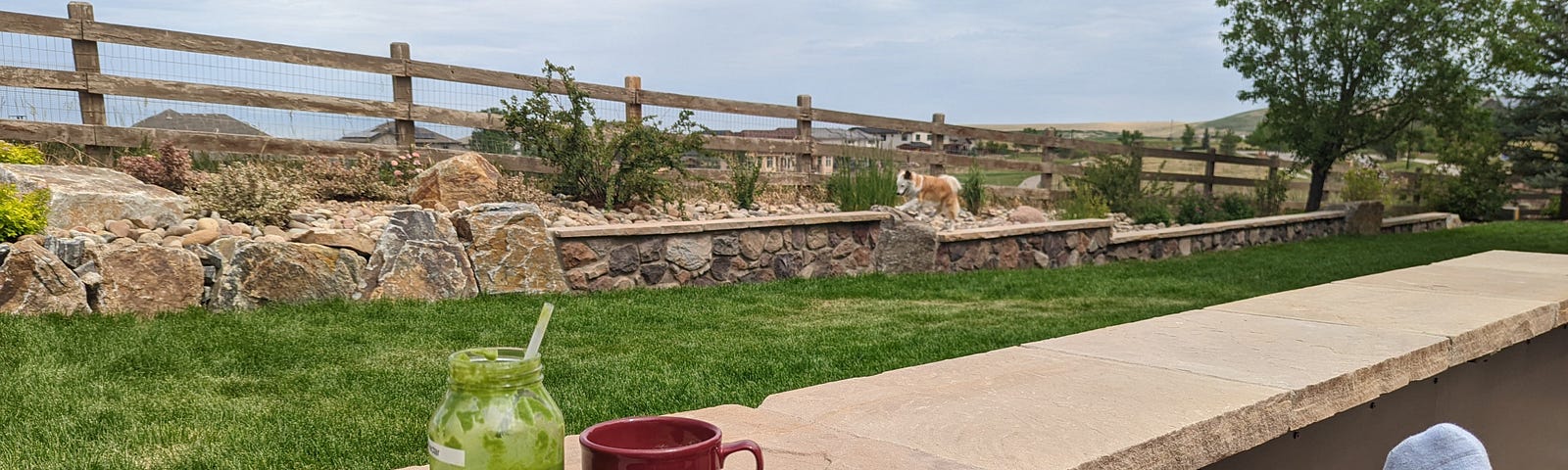 A green drink and red coffee mug are on a ledge in a backyard. On the right there are white socked feet relaxing. On the left is green grass and a dog in the background.