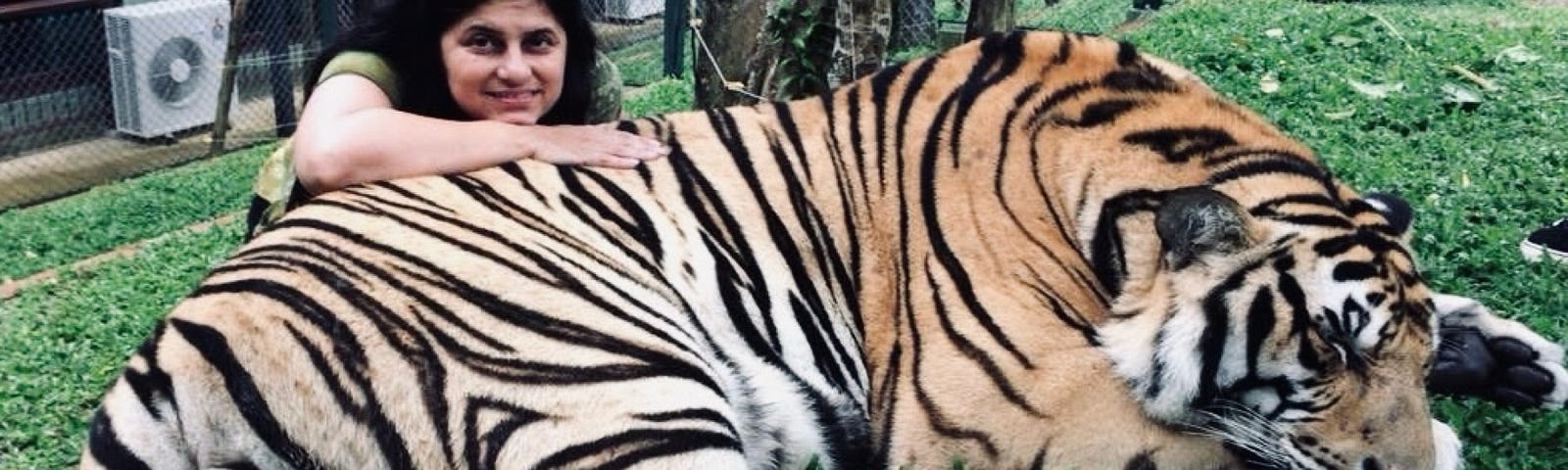 Eye of the tiger  — Thankfully my racing heart beats are not seen in the picture