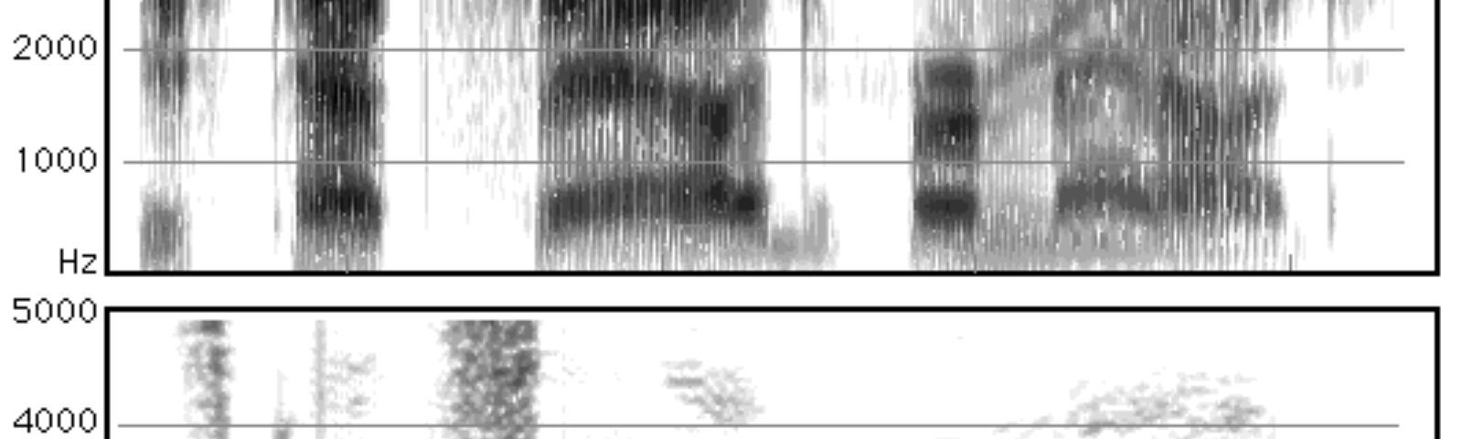A comparison of wide and narrow spectrograms showing that formant information is more prominent in wide spectrograms.